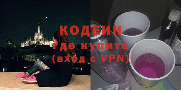 сатива Корсаков