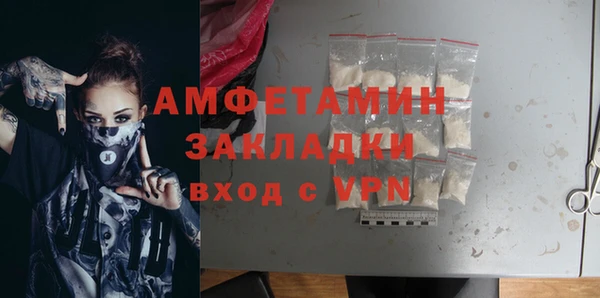 сатива Корсаков
