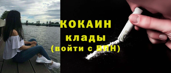 сатива Корсаков