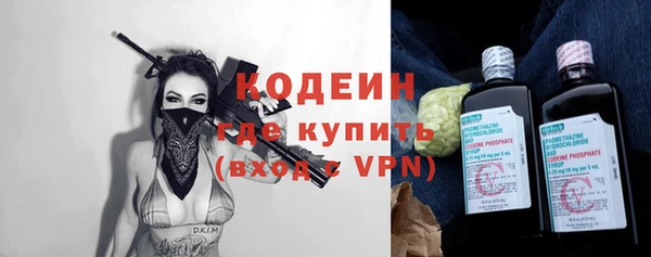 сатива Корсаков