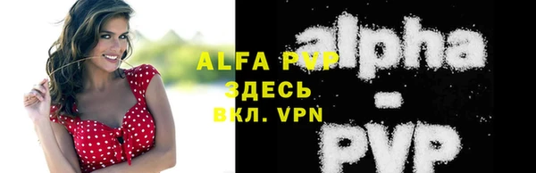 сатива Корсаков