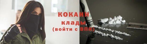 сатива Корсаков