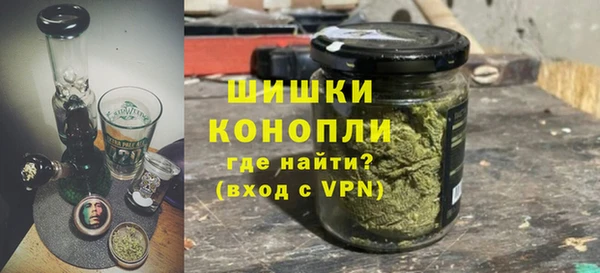 сатива Корсаков