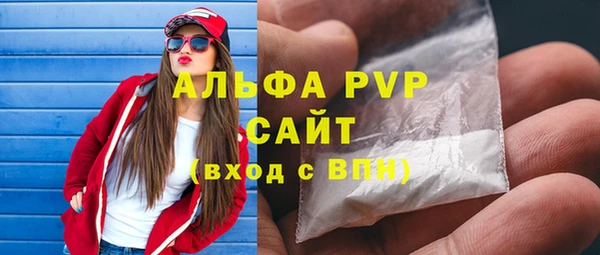 сатива Корсаков