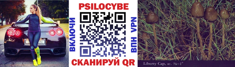 Купить закладки  Буйнакск  Галлюциногенные грибы Cubensis 